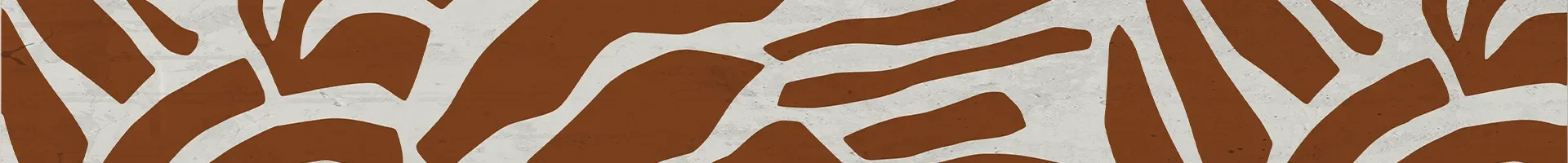 Histórias de transformação.