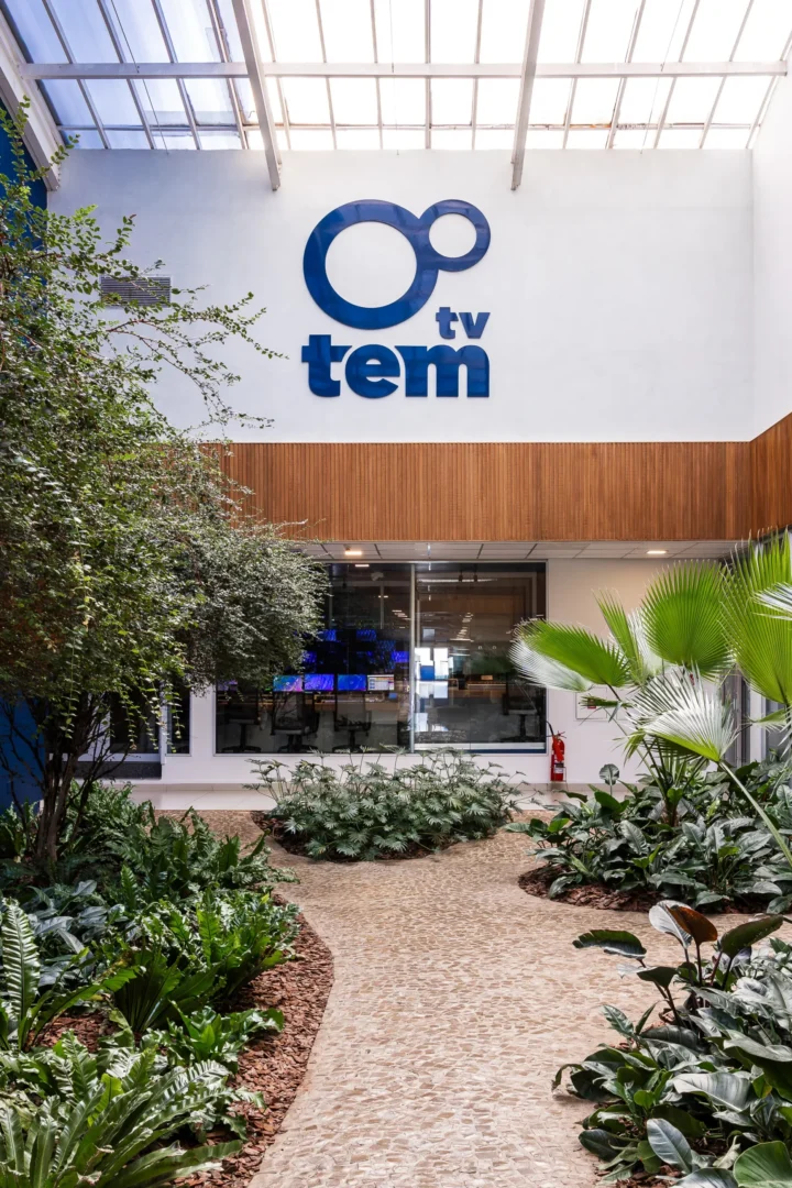 TV TEM